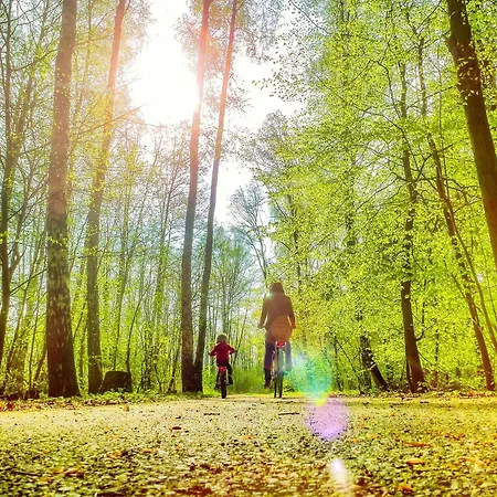 Bungis - 28 Ferienhaeuser Am Grimnitzsee G1 *